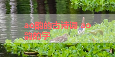 ao韵的古诗词 ao韵的字