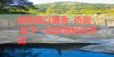 感情难以割舍  诗词 放下一段感情的古诗词