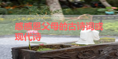 感感恩父母的古诗词或现代诗 