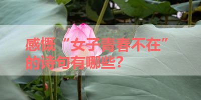 感慨“女子青春不在”的诗句有哪些？ 
