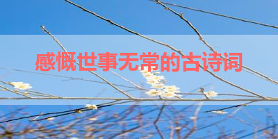 感慨世事无常的古诗词 