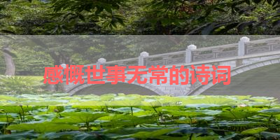 感慨世事无常的诗词 