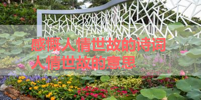 感慨人情世故的诗词 人情世故的意思