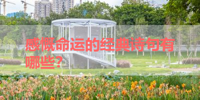 感慨命运的经典诗句有哪些？ 