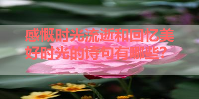 感慨时光流逝和回忆美好时光的诗句有哪些？ 