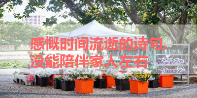 感慨时间流逝的诗句,没能陪伴家人左右 