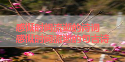 感慨时间流逝的诗词 感慨时间流逝的句古诗
