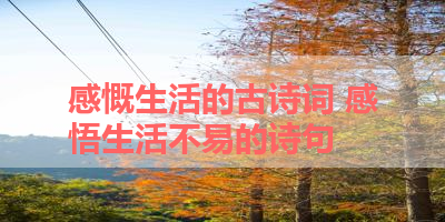 感慨生活的古诗词 感悟生活不易的诗句