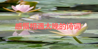 感慨相遇太晚的诗词 