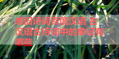 感旧诗词百度汉语 古汉语古诗词中的象征有哪些 