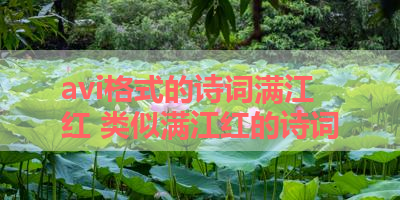 avi格式的诗词满江红 类似满江红的诗词