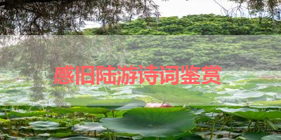 感旧陆游诗词鉴赏 