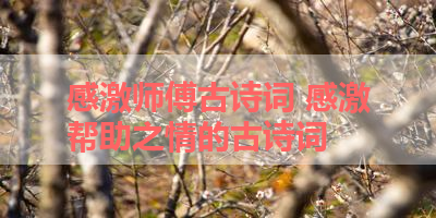 感激师傅古诗词 感激帮助之情的古诗词