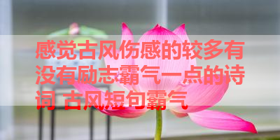 感觉古风伤感的较多有没有励志霸气一点的诗词 古风短句霸气