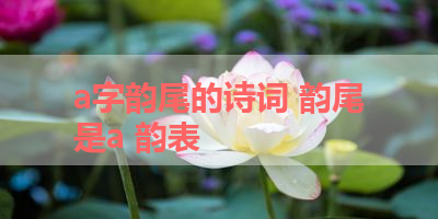 a字韵尾的诗词 韵尾是a 韵表
