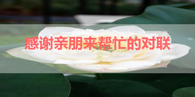 感谢亲朋来帮忙的对联 