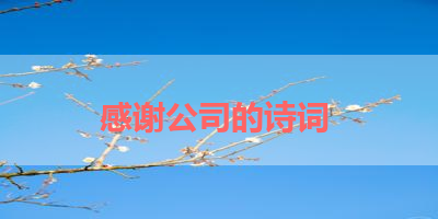 感谢公司的诗词 
