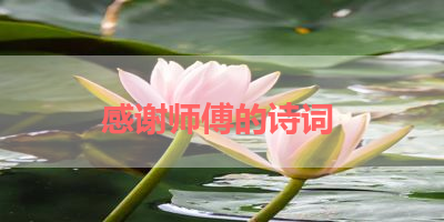 感谢师傅的诗词 