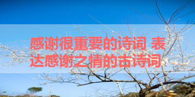 感谢很重要的诗词 表达感谢之情的古诗词