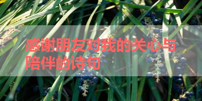 感谢朋友对我的关心与陪伴的诗句 