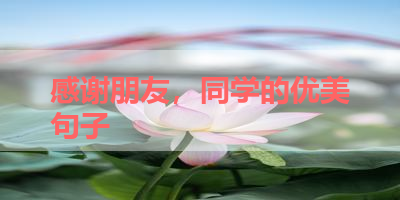 感谢朋友，同学的优美句子 
