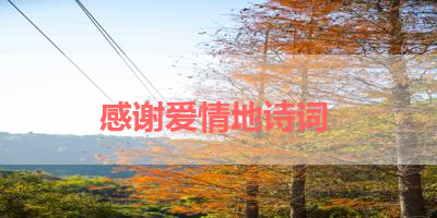 感谢爱情地诗词 