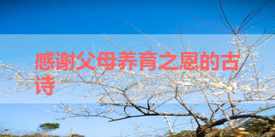 感谢父母养育之恩的古诗 