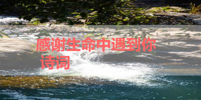 感谢生命中遇到你   诗词 