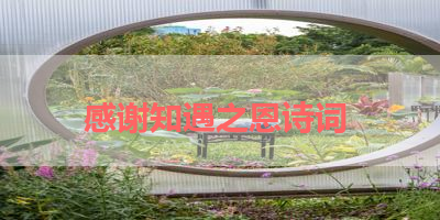 感谢知遇之恩诗词 