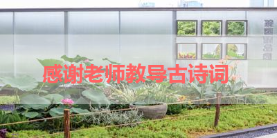 感谢老师教导古诗词 