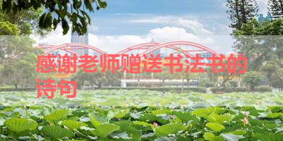 感谢老师赠送书法书的诗句 