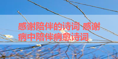 感谢陪伴的诗词 感谢病中陪伴病愈诗词