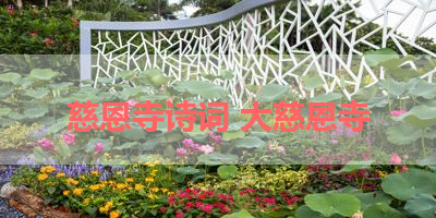 慈恩寺诗词 大慈恩寺