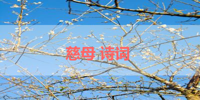 慈母 诗词 