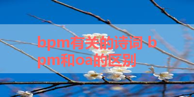 bpm有关的诗词 bpm和oa的区别
