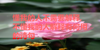 懂我的人不需要解释,不懂我的人解释有何用的诗句 