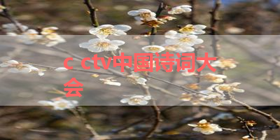 c ctv中国诗词大会 