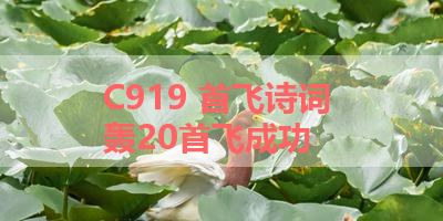 C919 首飞诗词 轰20首飞成功