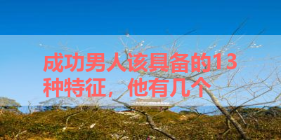 成功男人该具备的13种特征，他有几个 