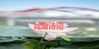 成皱诗词 