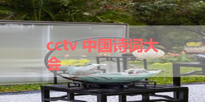 cctv 中国诗词大会 