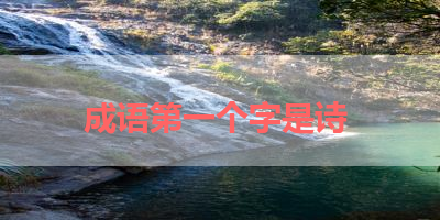 成语第一个字是诗 