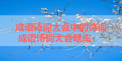 成语诗词大会中的诗词 成语诗词大会题库