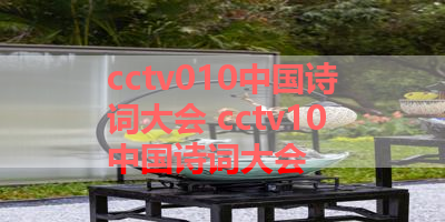 cctv010中国诗词大会 cctv10中国诗词大会
