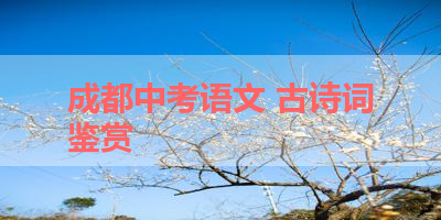 成都中考语文 古诗词鉴赏 