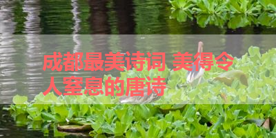 成都最美诗词 美得令人窒息的唐诗