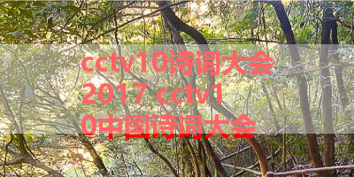 cctv10诗词大会2017 cctv10中国诗词大会