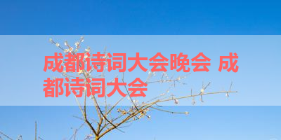 成都诗词大会晚会 成都诗词大会