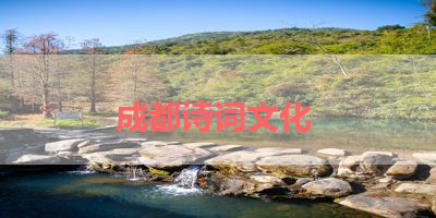 成都诗词文化 