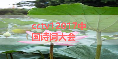 cctv12017中国诗词大会 
